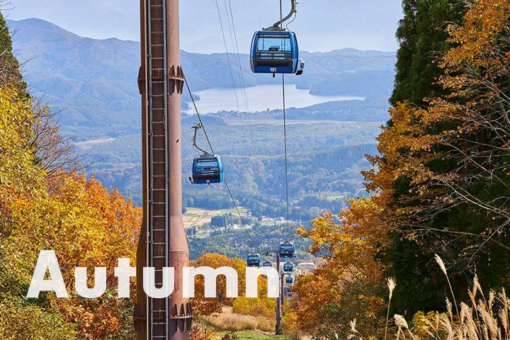 Autumn
