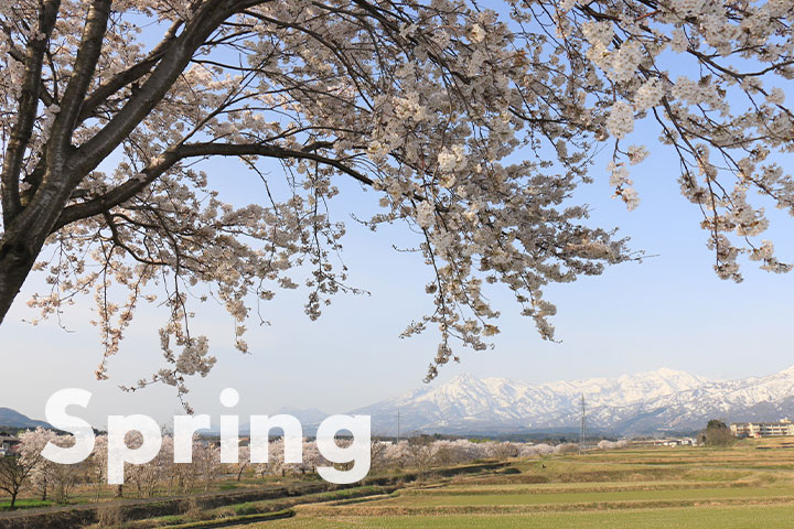 Spring